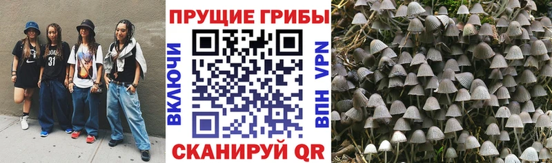 где продают наркотики  Заозёрный  Псилоцибиновые грибы MAGIC MUSHROOMS 